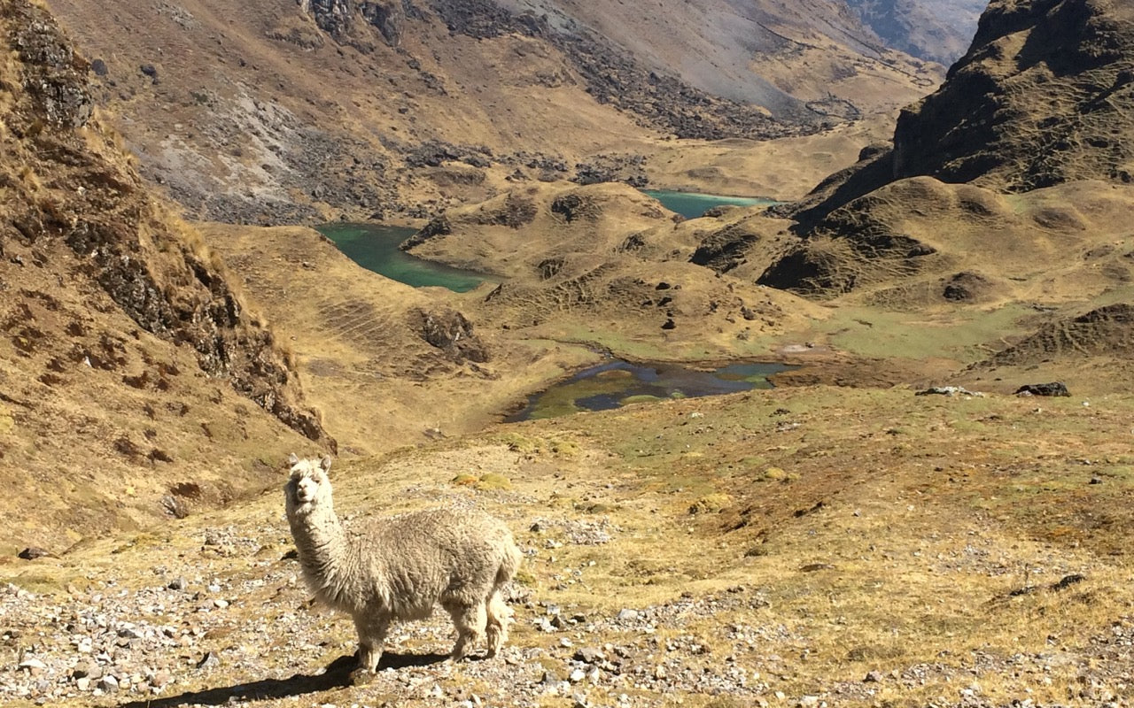 An exciting week with Nomad Academy - Peru Fitness Holidays